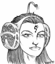 Draw by Rafael Arrais