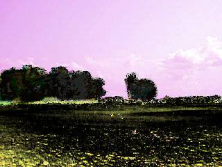 Purplefog Swamps. Modified photo, by Rafael Arrais